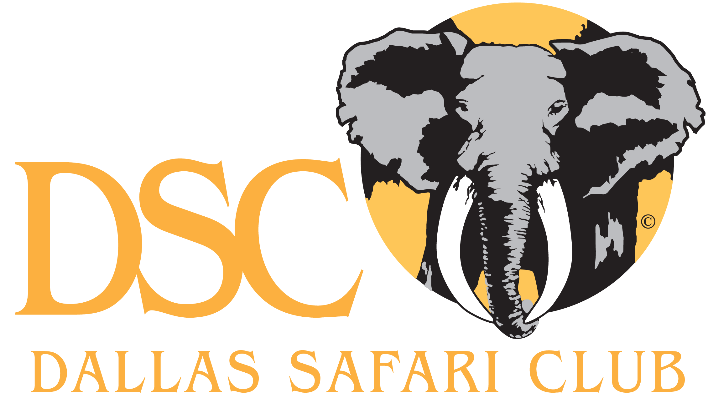 dsc-logo copy.gif